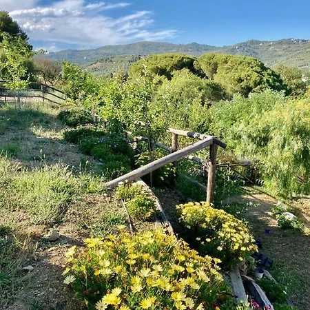La Casa Di Martina, Con 1 Piscina 1 Piscina Bimbi E Parco Giochi * Caramagna Ligure